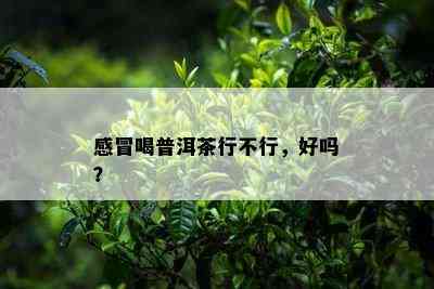 感冒喝普洱茶行不行，好吗？