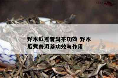 野木瓜煮普洱茶功效-野木瓜煮普洱茶功效与作用