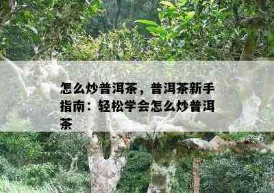 怎么炒普洱茶，普洱茶新手指南：轻松学会怎么炒普洱茶