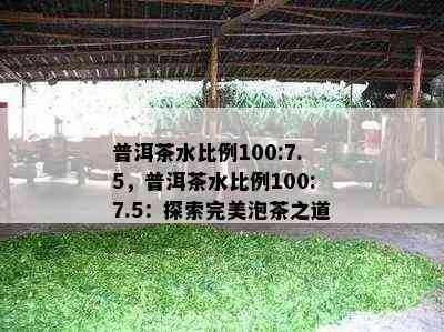 普洱茶水比例100:7.5，普洱茶水比例100:7.5：探索完美泡茶之道