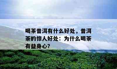 喝茶普洱有什么好处，普洱茶的惊人好处：为什么喝茶有益身心？