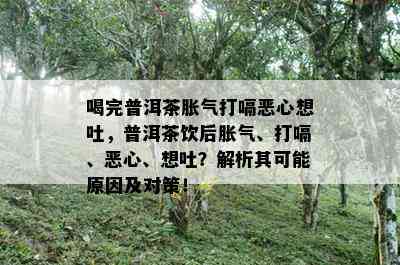 喝完普洱茶胀气打嗝恶心想吐，普洱茶饮后胀气、打嗝、恶心、想吐？解析其可能原因及对策！