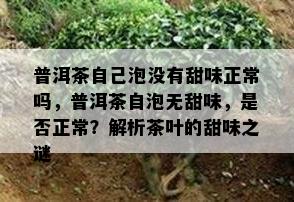 普洱茶自己泡没有甜味正常吗，普洱茶自泡无甜味，是否正常？解析茶叶的甜味之谜