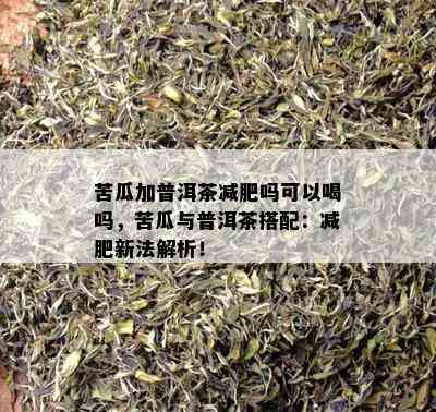 苦瓜加普洱茶减肥吗可以喝吗，苦瓜与普洱茶搭配：减肥新法解析！