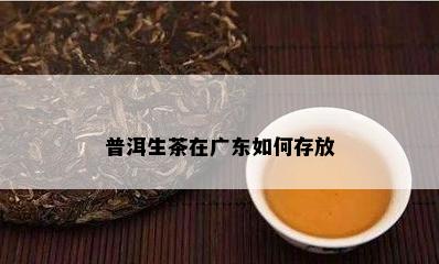 普洱生茶在广东如何存放