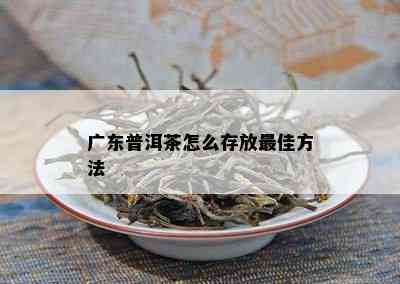 广东普洱茶怎么存放更佳方法