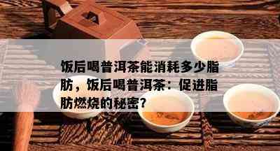 饭后喝普洱茶能消耗多少脂肪，饭后喝普洱茶：促进脂肪燃烧的秘密？