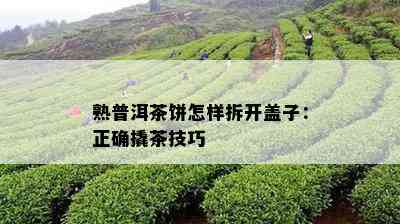 熟普洱茶饼怎样拆开盖子：正确撬茶技巧