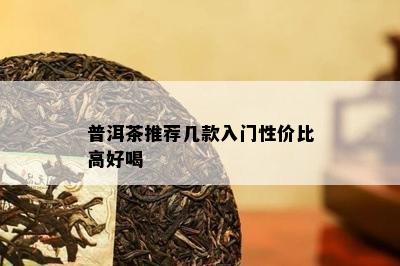 普洱茶推荐几款入门性价比高好喝