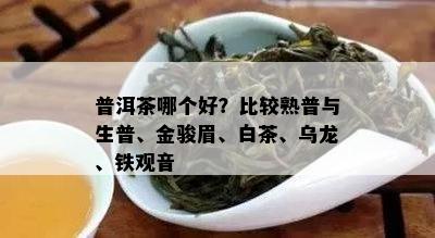 普洱茶哪个好？比较熟普与生普、金骏眉、白茶、乌龙、铁观音