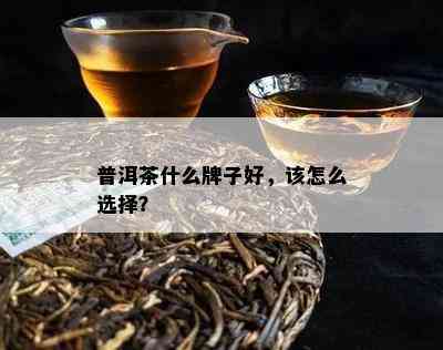 普洱茶什么牌子好，该怎么选择？