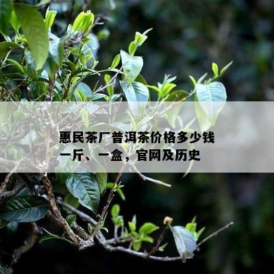 惠民茶厂普洱茶价格多少钱一斤、一盒，官网及历史