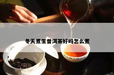 冬天煮生普洱茶好吗怎么煮