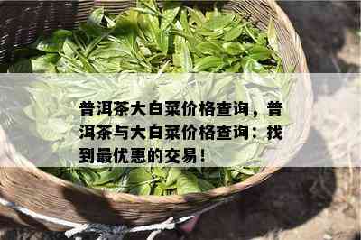 普洱茶大白菜价格查询，普洱茶与大白菜价格查询：找到更优惠的交易！