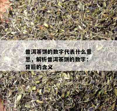 普洱茶饼的数字代表什么意思，解析普洱茶饼的数字：背后的含义