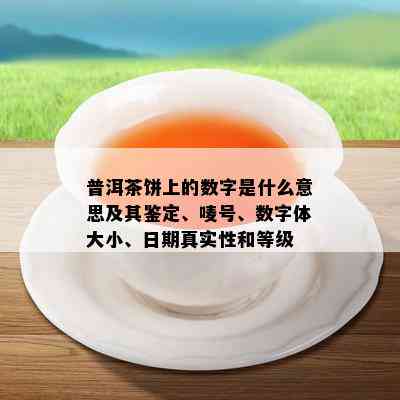 普洱茶饼上的数字是什么意思及其鉴定、唛号、数字体大小、日期真实性和等级