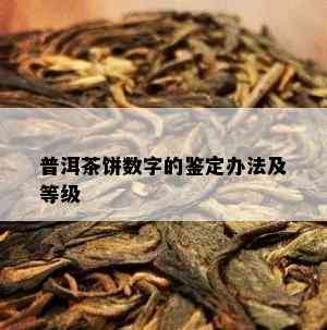 普洱茶饼数字的鉴定办法及等级