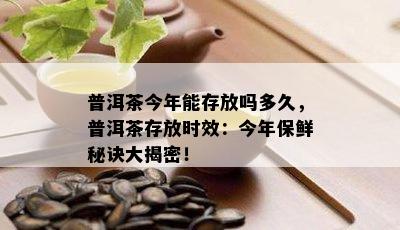 普洱茶今年能存放吗多久，普洱茶存放时效：今年保鲜秘诀大揭密！