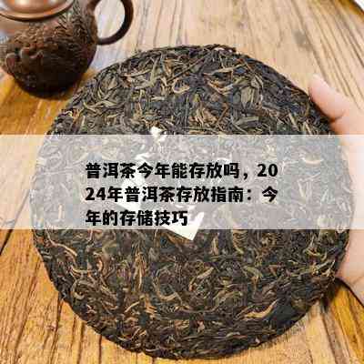 普洱茶今年能存放吗，2024年普洱茶存放指南：今年的存储技巧