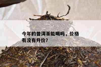 今年的普洱茶能喝吗，价格有没有升价？