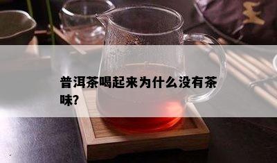 普洱茶喝起来为什么没有茶味？