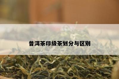 普洱茶印级茶划分与区别