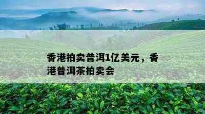 拍卖普洱1亿美元，普洱茶拍卖会