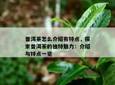 普洱茶怎么介绍有特点，探索普洱茶的独特魅力：介绍与特点一览