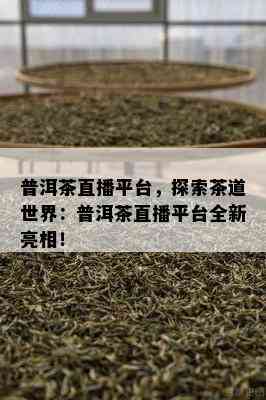 普洱茶直播平台，探索茶道世界：普洱茶直播平台全新亮相！