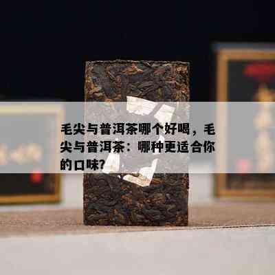 毛尖与普洱茶哪个好喝，毛尖与普洱茶：哪种更适合你的口味？