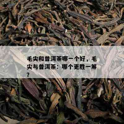 毛尖和普洱茶哪一个好，毛尖与普洱茶：哪个更胜一筹？