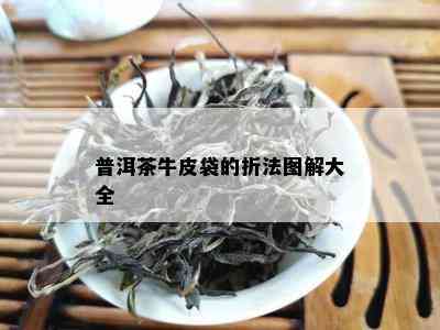 普洱茶牛皮袋的折法图解大全