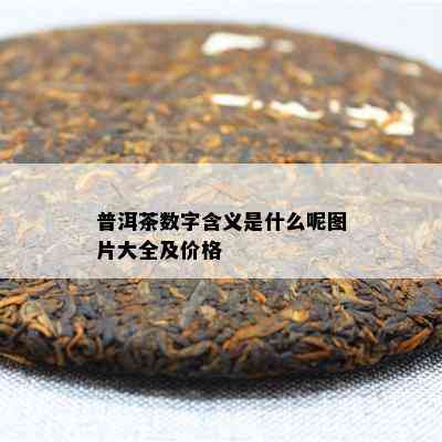 普洱茶数字含义是什么呢图片大全及价格