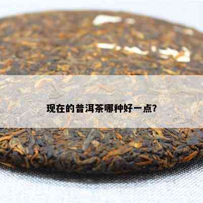 现在的普洱茶哪种好一点？