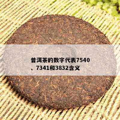 普洱茶的数字代表7540、7341和3832含义