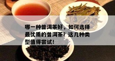 哪一种普洱茶好，如何选择更优质的普洱茶？这几种类型值得尝试！