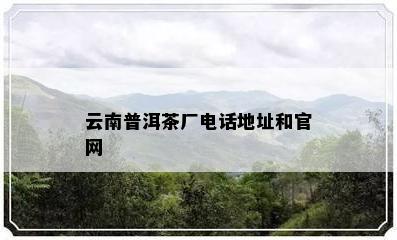 云南普洱茶厂电话地址和官网