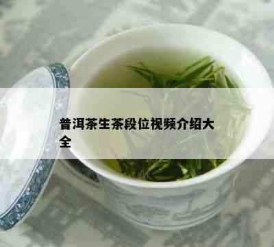 普洱茶生茶段位视频介绍大全