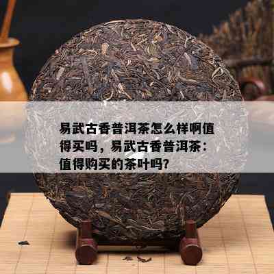 易武古香普洱茶怎么样啊值得买吗，易武古香普洱茶：值得购买的茶叶吗？