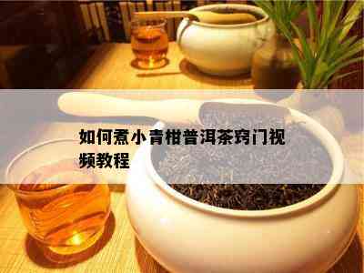 如何煮小青柑普洱茶窍门视频教程