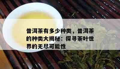 普洱茶有多少种类，普洱茶的种类大揭秘：探寻茶叶世界的无尽可能性