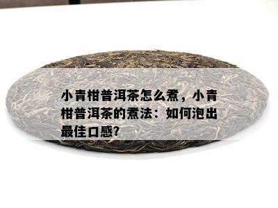 小青柑普洱茶怎么煮，小青柑普洱茶的煮法：如何泡出更佳口感？