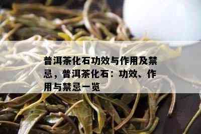 普洱茶化石功效与作用及禁忌，普洱茶化石：功效、作用与禁忌一览