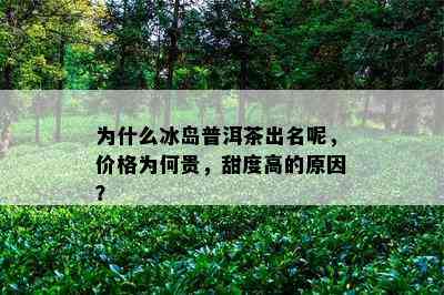 为什么冰岛普洱茶出名呢，价格为何贵，甜度高的原因？