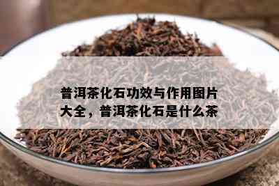 普洱茶化石功效与作用图片大全，普洱茶化石是什么茶