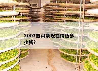 2003普洱茶现在价值多少钱？