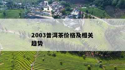 2003普洱茶价格及相关趋势