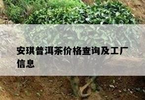 安琪普洱茶价格查询及工厂信息