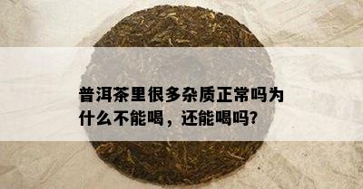 普洱茶里很多杂质正常吗为什么不能喝，还能喝吗？