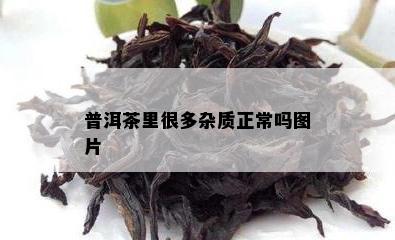 普洱茶里很多杂质正常吗图片